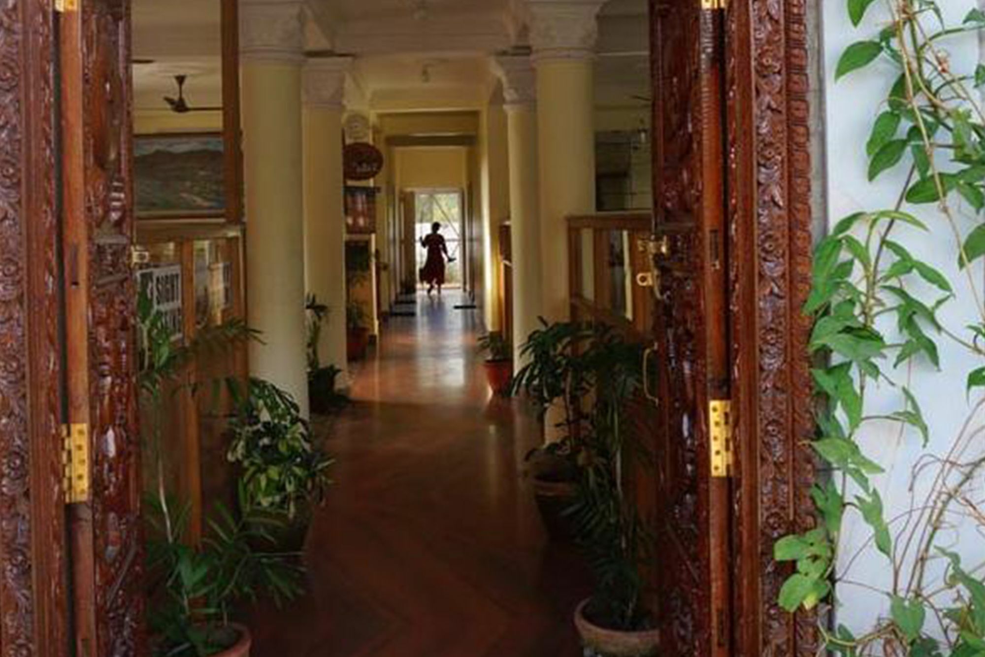 Hotel The Billabong Garden بوكْرا المظهر الخارجي الصورة